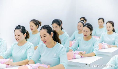 26天新生兒遭月嫂虐待, 家政行業的警鐘為誰而鳴