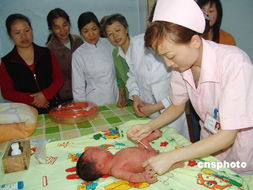 北京明年將添十萬 豬寶寶 緊急培訓持證月嫂