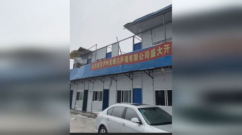 瀘州特大冰雹,小伙蟑螂養殖廠屋頂被砸垮